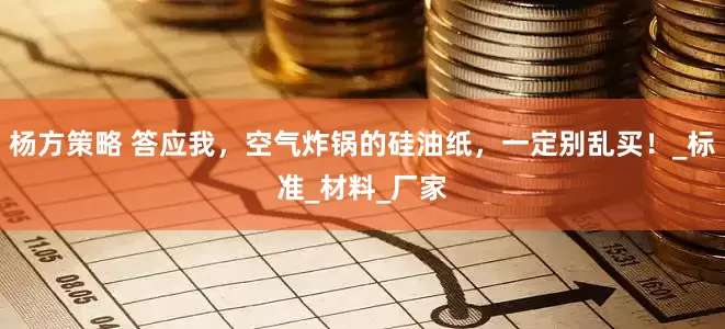 杨方策略 答应我，空气炸锅的硅油纸，一定别乱买！_标准_材料_厂家