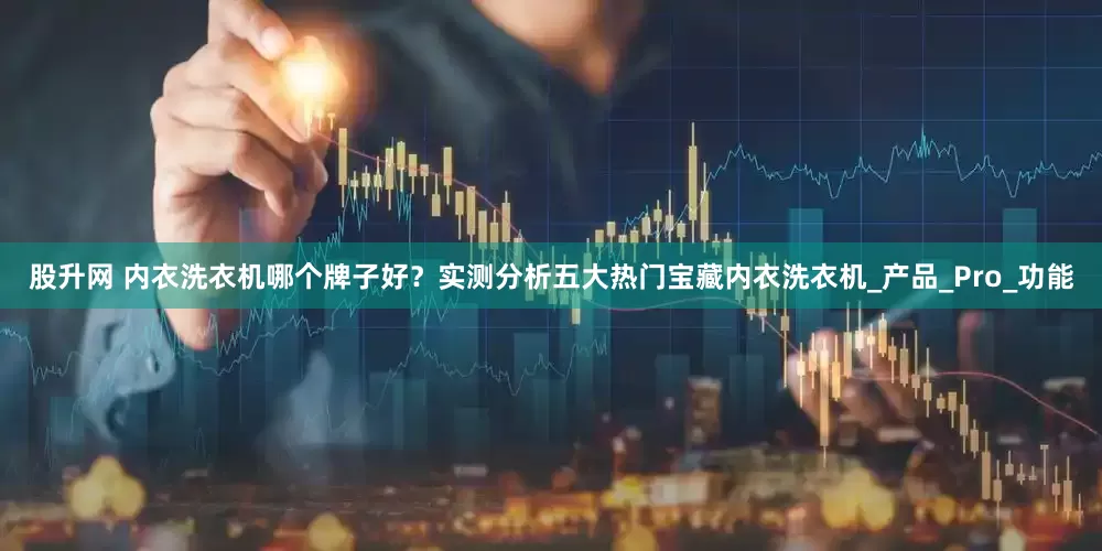 股升网 内衣洗衣机哪个牌子好？实测分析五大热门宝藏内衣洗衣机_产品_Pro_功能