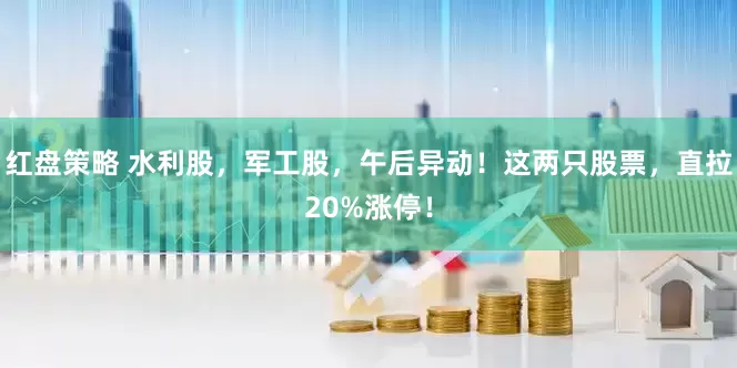 红盘策略 水利股，军工股，午后异动！这两只股票，直拉20%涨停！