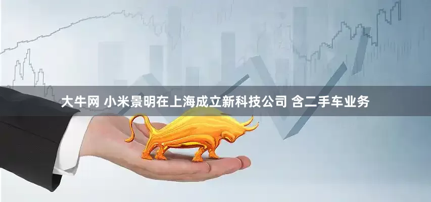 大牛网 小米景明在上海成立新科技公司 含二手车业务