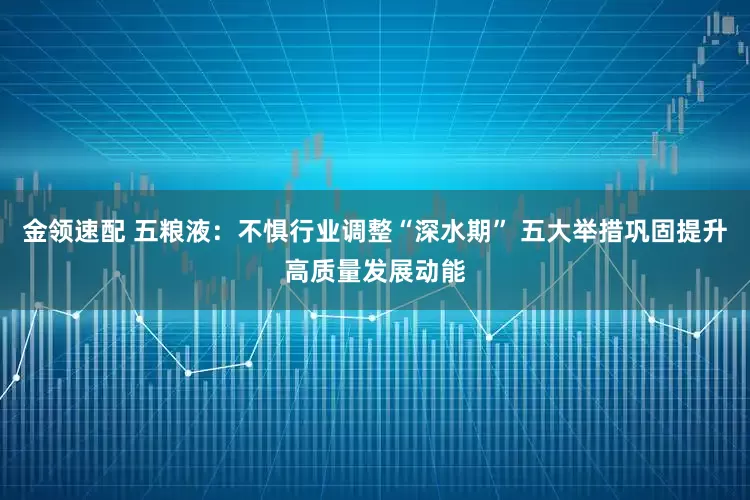 金领速配 五粮液：不惧行业调整“深水期” 五大举措巩固提升高质量发展动能