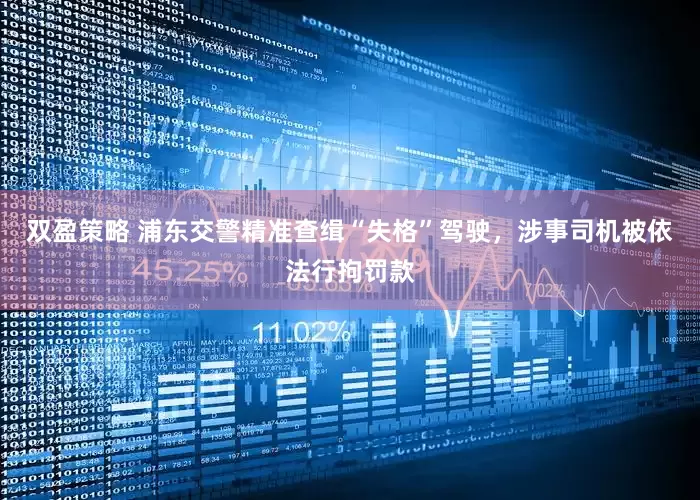 双盈策略 浦东交警精准查缉“失格”驾驶，涉事司机被依法行拘罚款