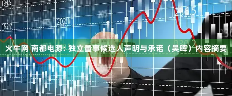 火牛网 南都电源: 独立董事候选人声明与承诺（吴晖）内容摘要