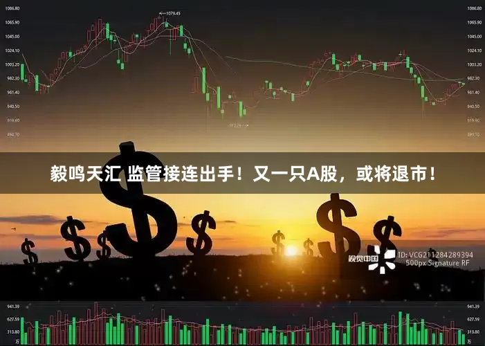 毅鸣天汇 监管接连出手！又一只A股，或将退市！